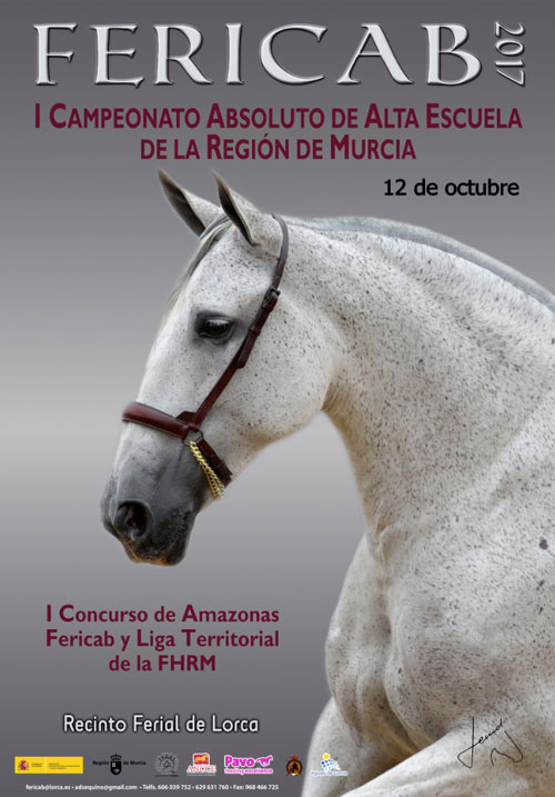 Campeonato Absoluto de Alta Escuela