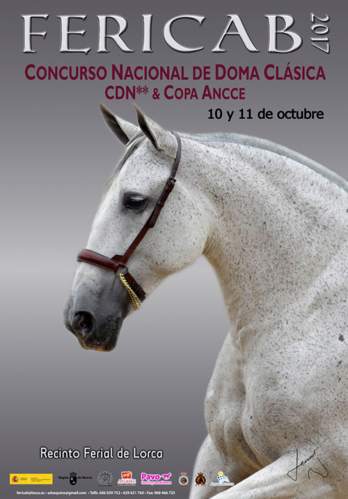 Concurso CDN ** Fericab - Copa ANCCE