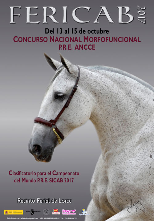 Concurso Morfofuncional P.R.E.